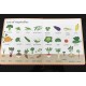 Usborne - My first word book about food